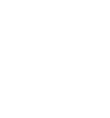 manaka design sawallow