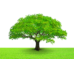 たなかこうすけ鍼灸マッサージ治療院